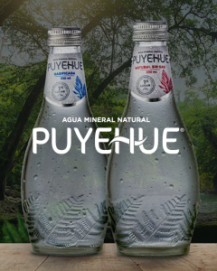 HOME BRANDS_Home-Brands-Puyehue